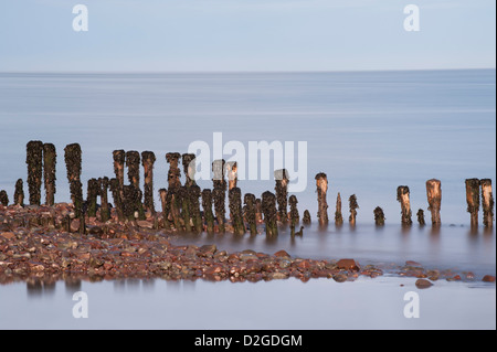 Eroded wooden groyne or breakwater on the beach at Porlock Weir, Somerset, England, United Kingdom Stock Photo