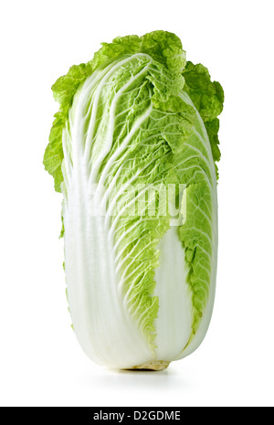 Fresh chinese cabbage on white background, studio shot Stock Photo