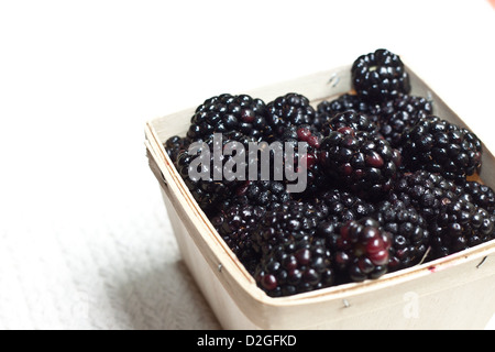 Ohio Blackberries, Westerville, Ohio. Stock Photo