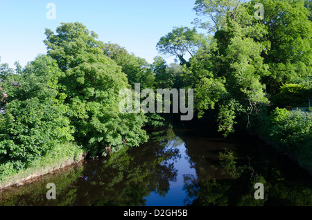 RIver Eden, Appleby-in-Westmorland, Cumbria, England, Britain Stock Photo