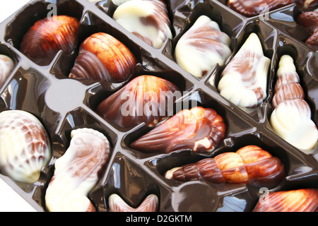 Chocolate seashells box closeup picture. Stock Photo