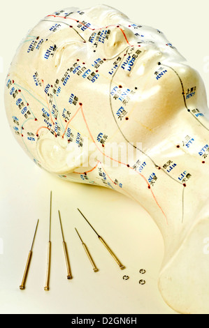 Acupuncture needles with head model Stock Photo