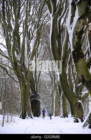 Brighton, Sussex, UK. 24th January 2013.  Runners in the snow which still looks picturesque in Stanmer Park woods near Brighton Stock Photo