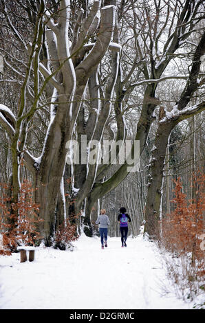 Brighton, Sussex, UK. 24th January 2013.  Runners in the snow which still looks picturesque in Stanmer Park woods near Brighton today Stock Photo