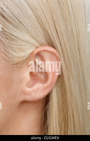Ear close-up Stock Photo