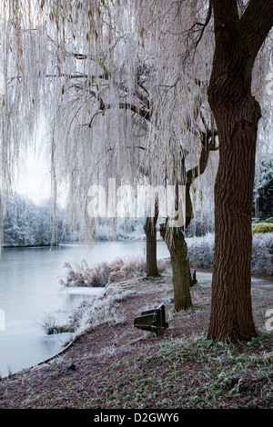 Hoar frost around a small lake known as Liden Lagoon in Swindon, Wiltshire, England, UK Stock Photo