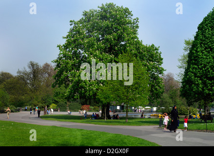 Regents Park London England Chestnut Tree in Bloom and Muslim Family Stock Photo