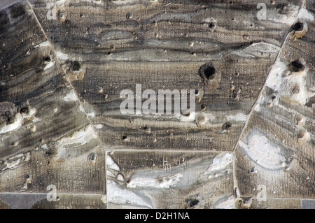 Bullet holes in the facade of the German Parliament (Reichstag). Second World War. Detail. Berlin. Germany. Stock Photo