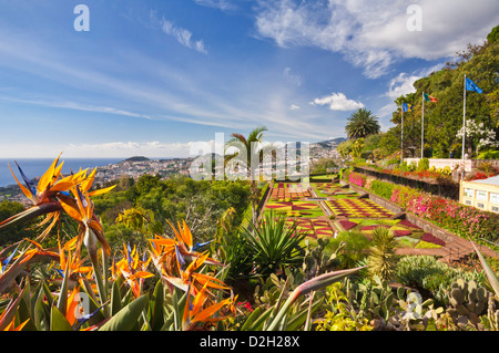 Formal garden display in the Botanical gardens Jardim Botanico Funchal  Madeira Portugal EU Europe Stock Photo