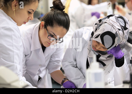 Female university students enjoying science research, university, UK Stock Photo
