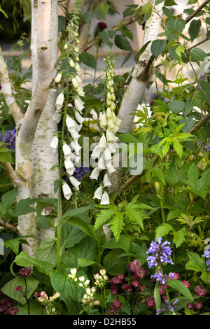 A profusion of flowers in a garden Stock Photo