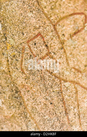 Old historic nordic runes engraved in stone, Sweden Stock Photo