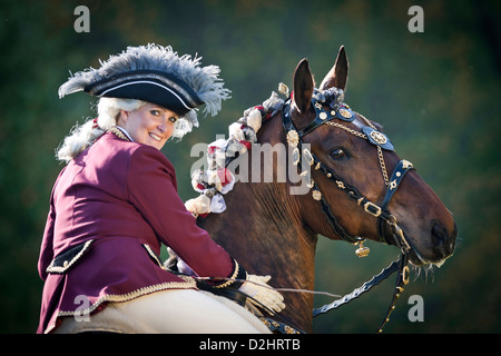 Bay Lipizzan horse Maestoso with rider in baroque costume Stock Photo