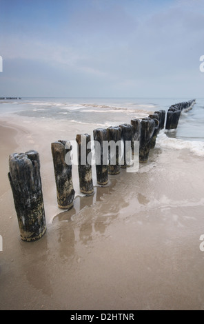 Frozen wooden wave breakers pillars on a beautiful sandy beach on the Polish Baltic Sea coast. Stock Photo
