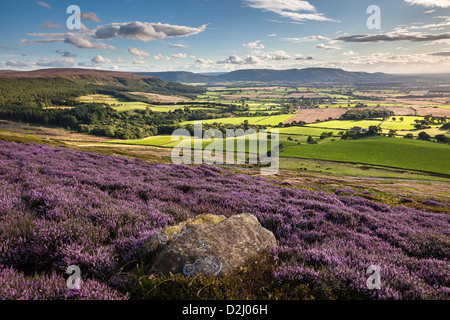 The Cleveland Hills from Warren Moor, North York Moors National Park Stock Photo