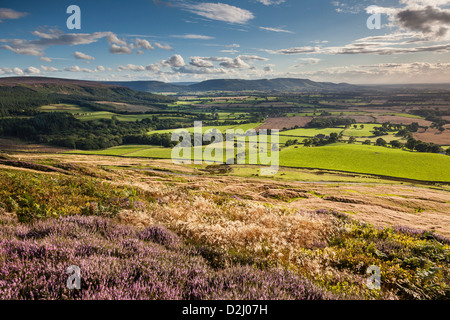 The Cleveland Hills from Warren Moor, North York Moors National Park Stock Photo