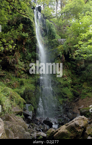 Mallyan Spout waterfall north Yorkshire moors goathland heartbeat country aidensfield nr Whitby Stock Photo