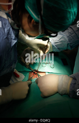 Surgeons, wearing surgical caps and masks, performing an operation and focused on a small incision site on a patient's abdomen who is draped in green surgical cloths in a sterile operating room environment in Rambam hospital Haifa Israel Stock Photo