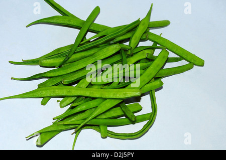 Gawar cluster Beans : Cyamopsis tetragonoloba Stock Photo