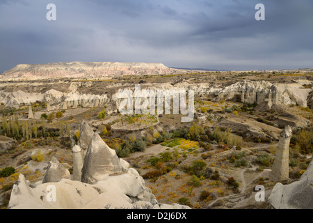 Vinyards and orchards among Fairy Chimneys in Love Valley Goreme National Park Turkey Stock Photo