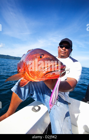 Man holding fresh caught cubera snapper (lutjanus cyanopterus); panama Stock Photo