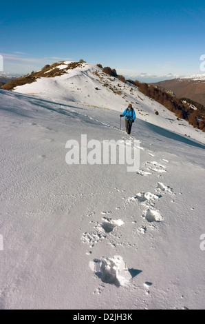 Walker in blue on snow slope, French Pyrenees Stock Photo