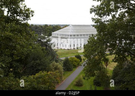 The Temperate House seen from the rhizotron and xstrata treetop walkway, Kew Gardens, London, UK Stock Photo