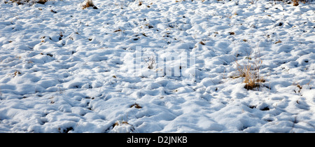 Snow lying on rough ground Milton Cambridgeshire Stock Photo