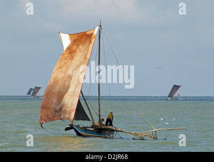 Local fishermen fishing from floating plastic platforms Lake Naivasha Kenya  Stock Photo - Alamy