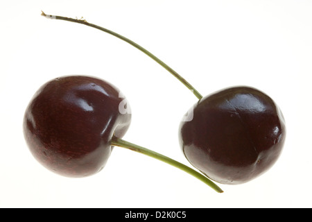 Two cherries isolated on a white background. Stock Photo