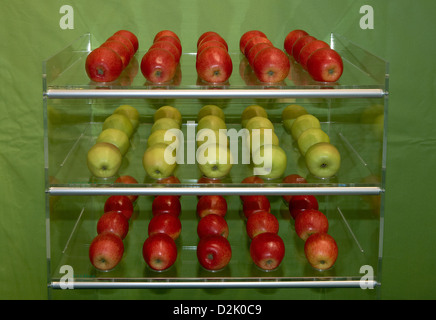 Berlin, Germany, different varieties of apples in a transparent shelf Stock Photo