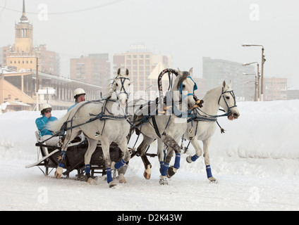 Russian Troika driving competitions in Moscow Stock Photo