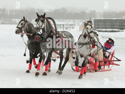 Russian Troika driving competitions in Moscow Stock Photo