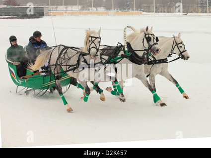 Russian Troika driving competitions in Moscow Stock Photo