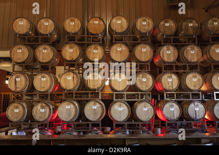 Wooden barrels with wine are stored in the Noilly Prat 