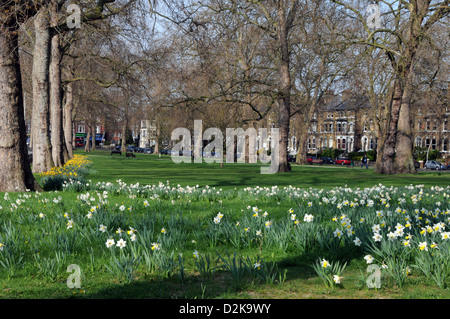 Goose Green East Dulwich London In Spring Stock Photo