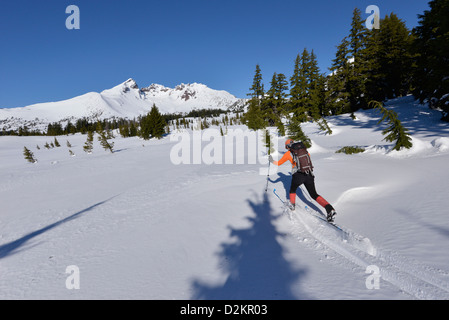 Cross country skiing through a meadow below Broken Top peak in Oregon's Cascade Range. Stock Photo