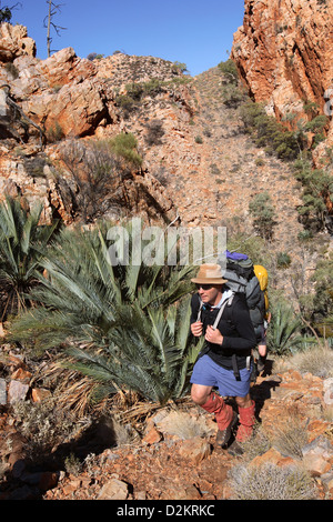 Larapinta Trail, Central Australia Stock Photo - Alamy