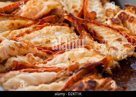 Fried lobsters in a pan on a plate Stock Photo