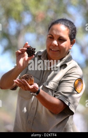 Aboriginal Tour Guide Jenny Hunter during a bush tucker tour. Kakadu National Park, Northern Territory, Australia. Stock Photo