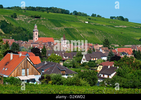 Village Riquewihr amidst vineyards, Alsace, France Stock Photo