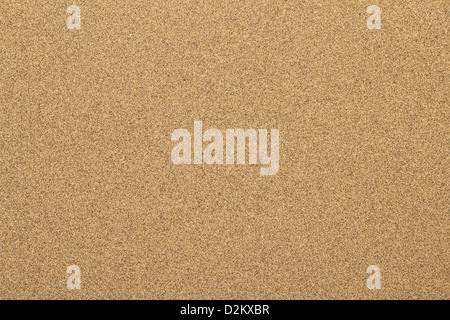 Sandy beach background. Detailed sand texture. Top view Stock Photo