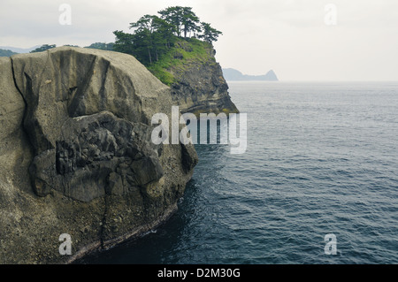 Huge rocks formation shoreline with scenic pine trees on the cliff top on Izu Peninsula in Japan Stock Photo