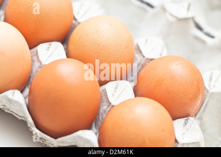 Eggs in a box Stock Photo