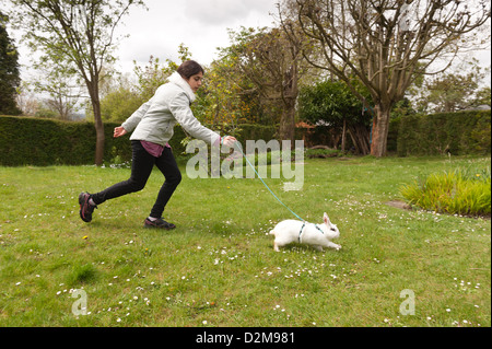 Bunny walking on clearance leash