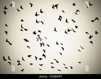 Flock of crows. Flying black birds in sky monochrome flutter raven ...