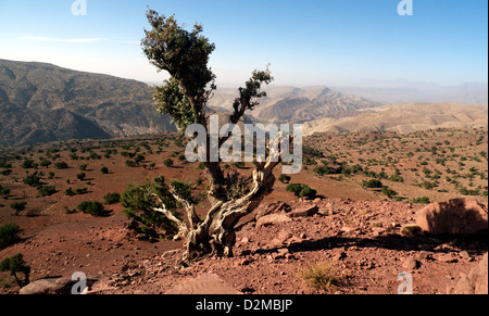 Looking south from Mt n'Oughlagal near Tijhza (Tighza), to the High Atlas Mountain panorama, Morocco. Stock Photo