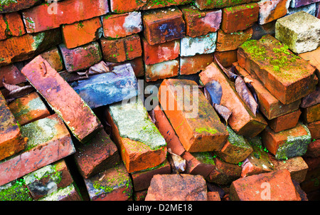 pile of old bricks with moss on them Stock Photo