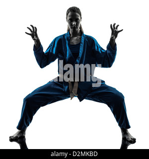 one  woman exercising karate vietvodao martial arts in silhouette studio isolated on white background Stock Photo