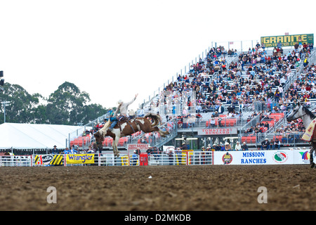 A cowboy flies high as a he rides a bucking bronco bareback at the Salinas Rodeo Stock Photo